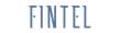 Fintel Брокерская компания Fintel