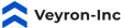 Брокер Veyron Inc