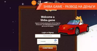 Что скрывают издатели Shiba Game
