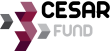 Брокерская компания Cesar Fund