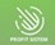 Инвестиционный проект Profit Sistem