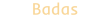 Брокер Badas