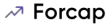 Брокер Forcap