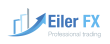 Брокерская компания Eiler FX
