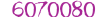 Брокер 6070080
