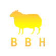 Инвестиционный проект Bbhlike