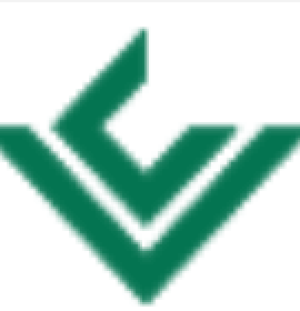 Vyce Corp