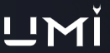 Инвестиционный проект UMI