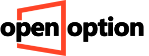 OpenOption