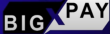Инвестиционный проект Big Pay
