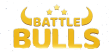 Инвестиционный проект Battle Bulls