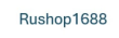 Инвестиционный проект Rushop1688