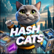 Инвестиционный проект HashCats
