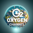 Инвестиционный проект Oxygen Miner