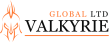 Брокерская компания Valkyrie Global LTD