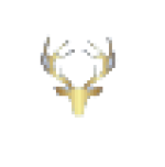 Investrium