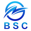 Инвестиционный проект BSC