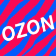 Инвестиционный проект Ozonsrageomon
