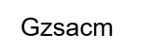 Gzsacm