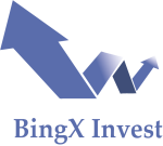 Bingxinvestment