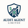 Компания Audit Agent