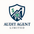Audit Agent