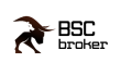 Брокерская компания BSC Broker