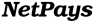 Компания NetPays