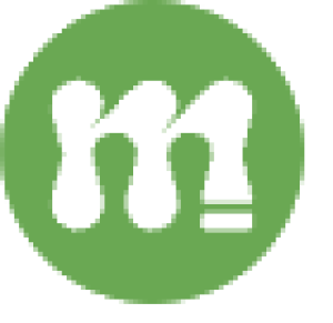 Mentorisy