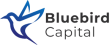 Брокерская компания Bluebird Capital