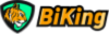 Компания Bikingex
